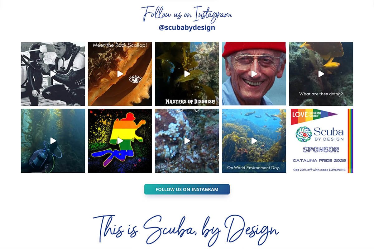 Instagram feed on WordPress site